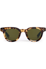 Devon - Nikko Tortoise