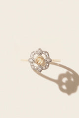 Bettina Diamond Ring - 9K Gold (By Special Order)