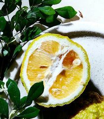 375ml Room Diffuser - Flor de Naranjo