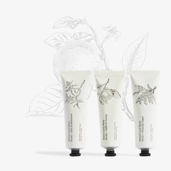 Hand Cream Trio Set - Bestseller Fragrances
